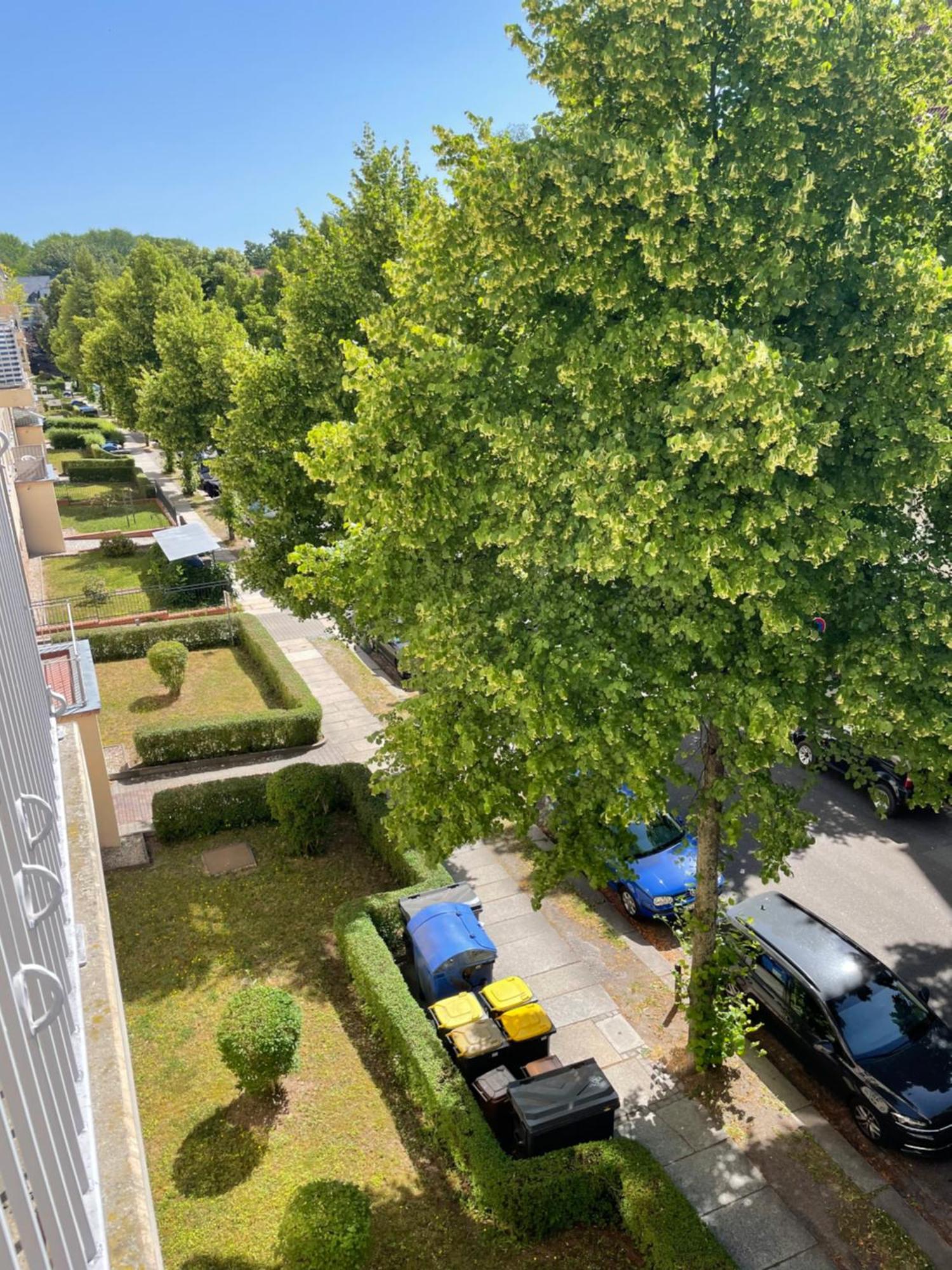 Ruhige Maisonettewohnung Auf Dem Kassberg Chemnitz Exteriör bild